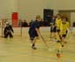 Classic - Ilves